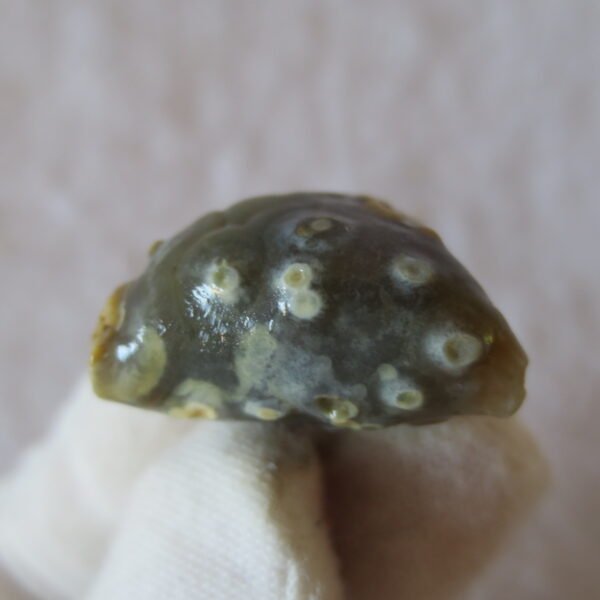 natural gobi vein agate raw stone, jinmai stone specimen (q22） (copy)