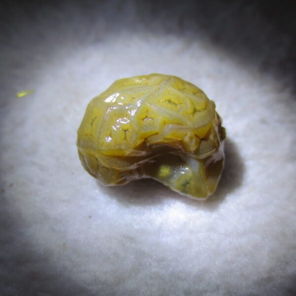 natural gobi vein agate raw stone, jinmai stone specimen (q24） (copy)