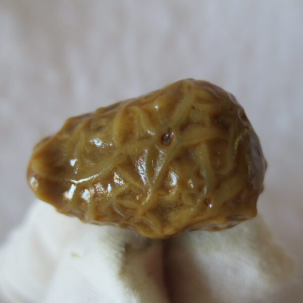 natural gobi vein agate raw stone, jinmai stone specimen (q27) (copy)