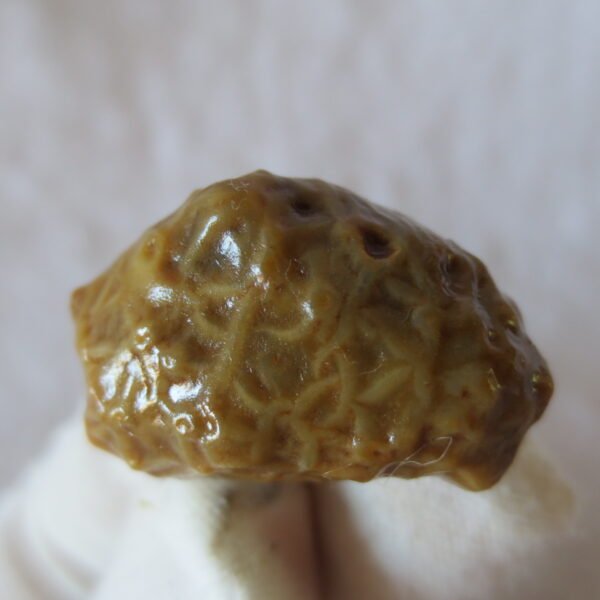 natural gobi vein agate raw stone, jinmai stone specimen (q27) (copy)
