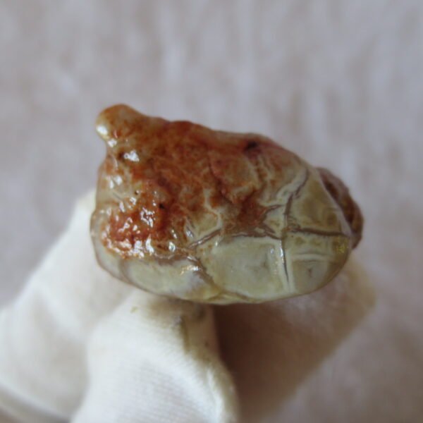 natural gobi vein agate raw stone, jinmai stone specimen (q30）