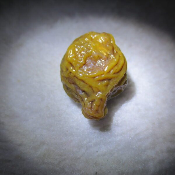 natural gobi vein agate raw stone, jinmai stone specimen (q41）