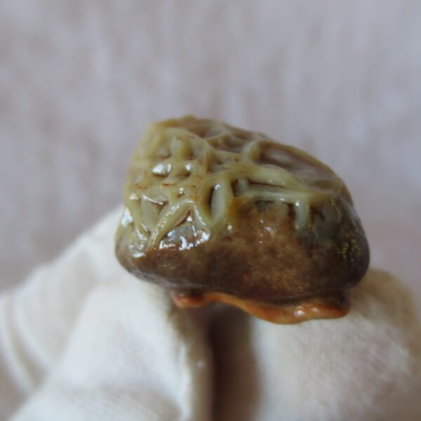natural gobi vein agate raw stone, jinmai stone specimen (q44） (copy)