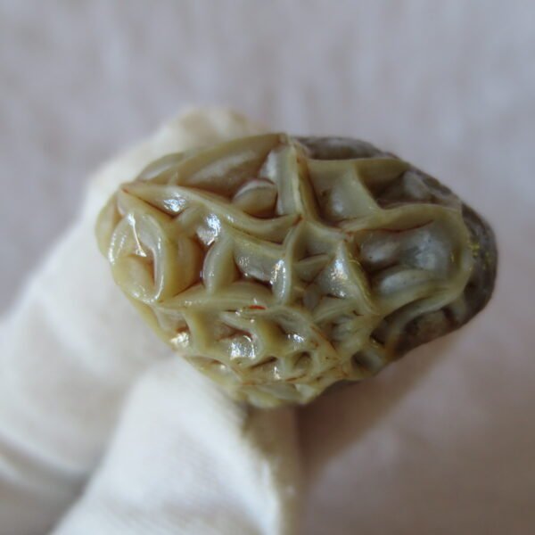 natural gobi vein agate raw stone, jinmai stone specimen (q44） (copy)