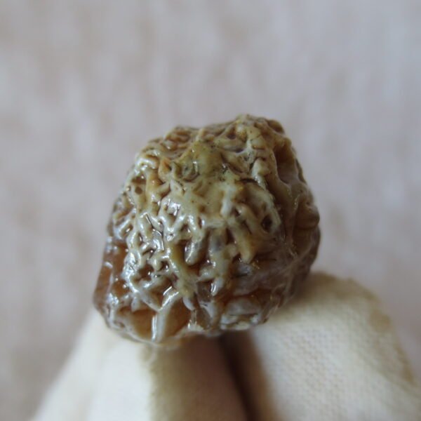 natural gobi vein agate raw stone, jinmai stone specimen (q45） (copy)