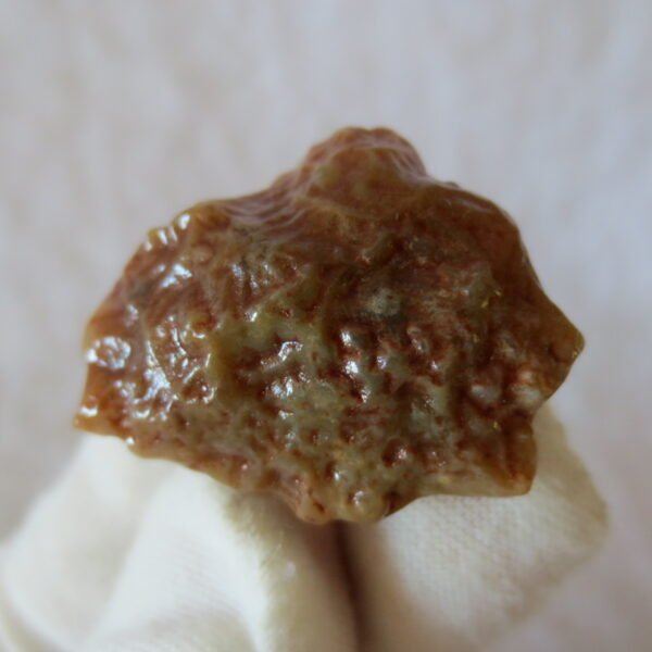 natural gobi vein agate raw stone, jinmai stone specimen (q49）
