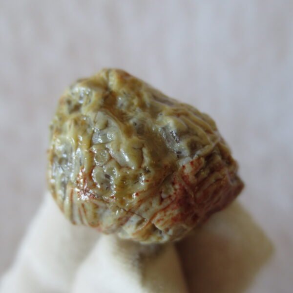 natural gobi vein agate raw stone, jinmai stone specimen (q50） (