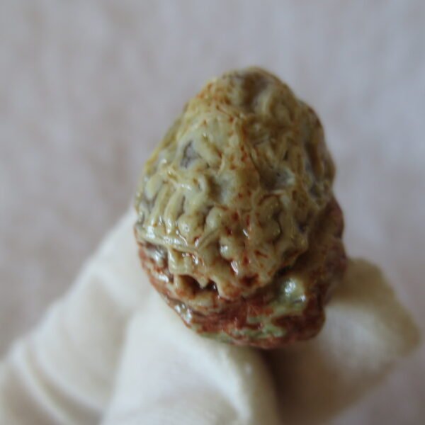 natural gobi vein agate raw stone, jinmai stone specimen (q50） (