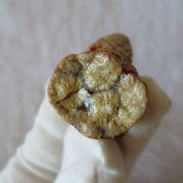 natural gobi vein agate raw stone, jinmai stone specimen (q53）