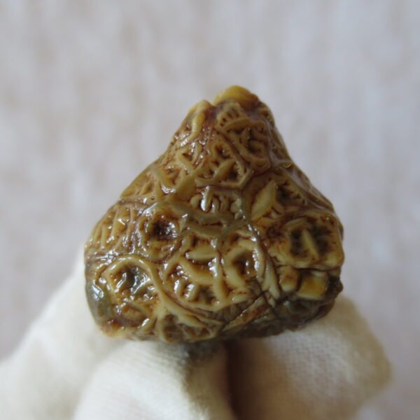 natural gobi vein agate raw stone, jinmai stone specimen (q55）