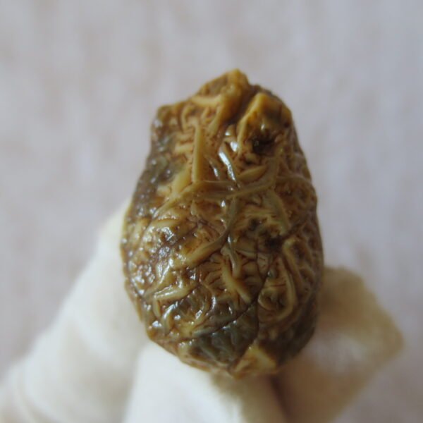 natural gobi vein agate raw stone, jinmai stone specimen (q55）