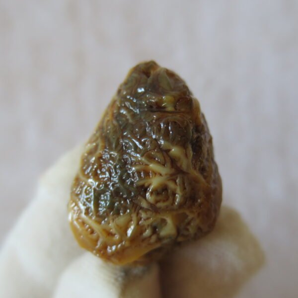 natural gobi vein agate raw stone, jinmai stone specimen (q55）