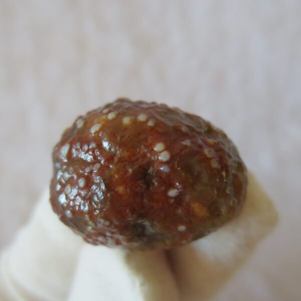 natural gobi vein agate raw stone, jinmai stone specimen (q55） (copy)