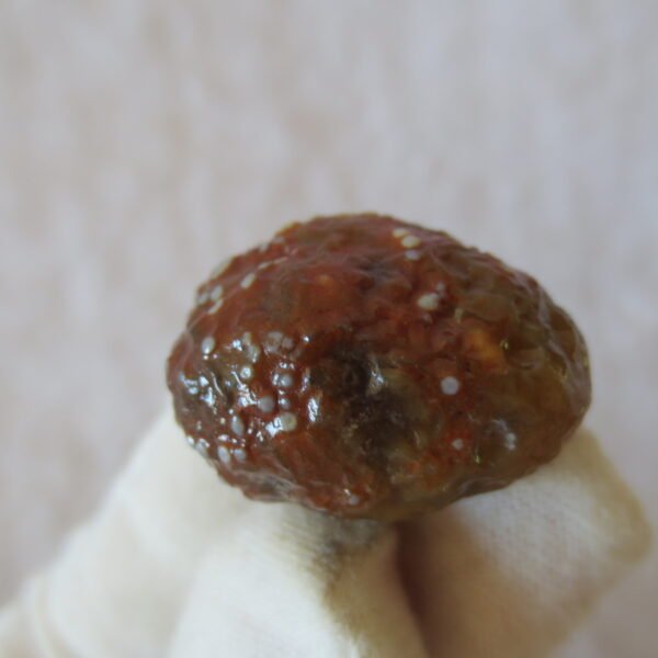 natural gobi vein agate raw stone, jinmai stone specimen (q55） (copy)