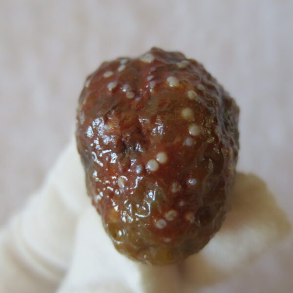 natural gobi vein agate raw stone, jinmai stone specimen (q55） (copy)