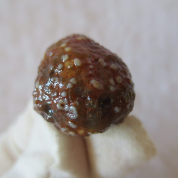 natural gobi vein agate raw stone, jinmai stone specimen (q55） (copy)