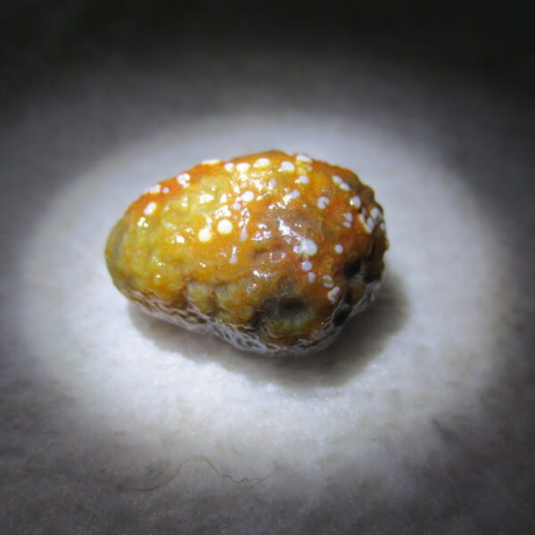 natural gobi vein agate raw stone, jinmai stone specimen (q55） (copy)