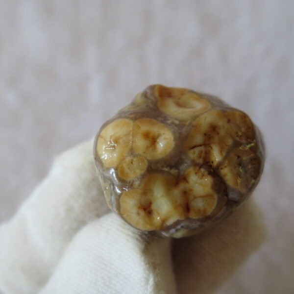 natural gobi vein agate raw stone, jinmai stone specimen (q59） (copy)