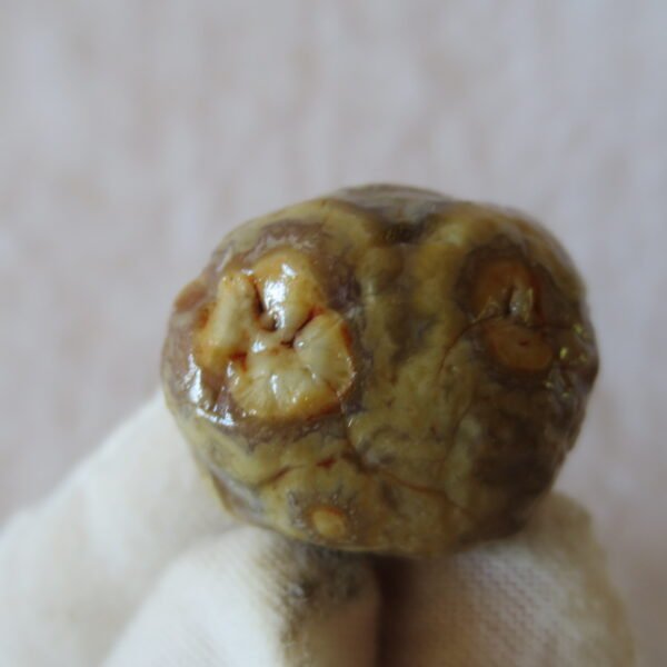 natural gobi vein agate raw stone, jinmai stone specimen (q59） (copy)