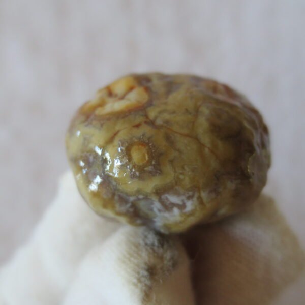 natural gobi vein agate raw stone, jinmai stone specimen (q59） (copy)