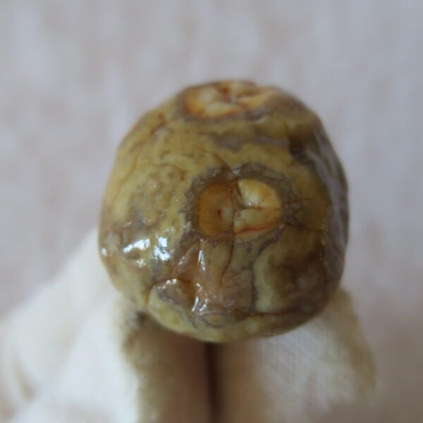 natural gobi vein agate raw stone, jinmai stone specimen (q59） (copy)