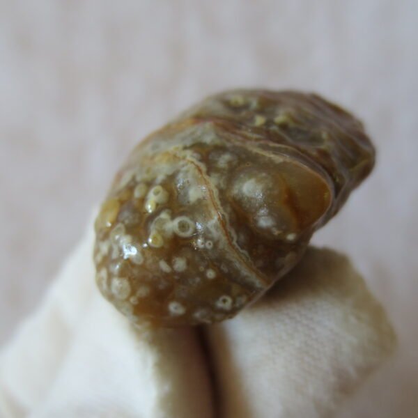 natural gobi vein agate raw stone, jinmai stone specimen (q62）