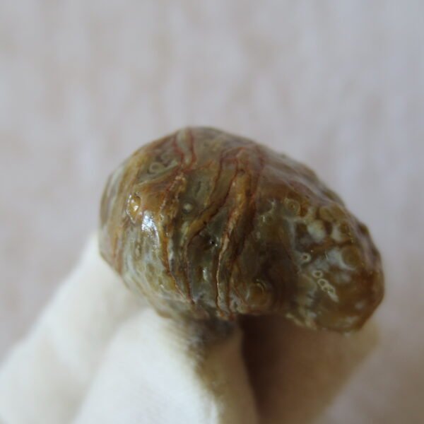 natural gobi vein agate raw stone, jinmai stone specimen (q62）