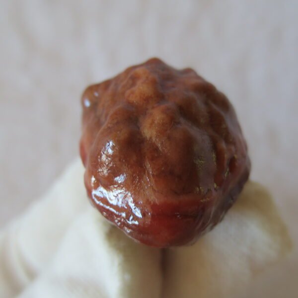 natural gobi vein agate raw stone, jinmai stone specimen (q63） (copy)
