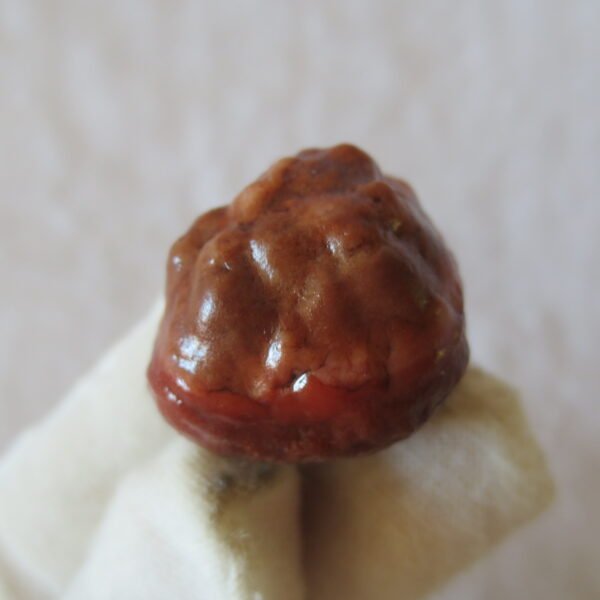 natural gobi vein agate raw stone, jinmai stone specimen (q64）