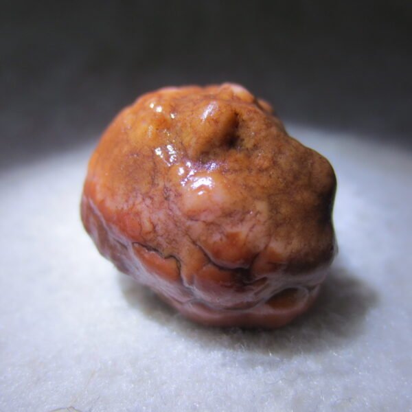 natural gobi vein agate raw stone, jinmai stone specimen (q64）