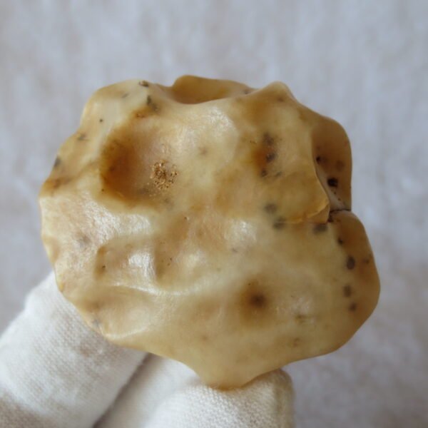 natural desert gobi agate crystal and stone symbiotic minerals, home decor, energy stones (s06)