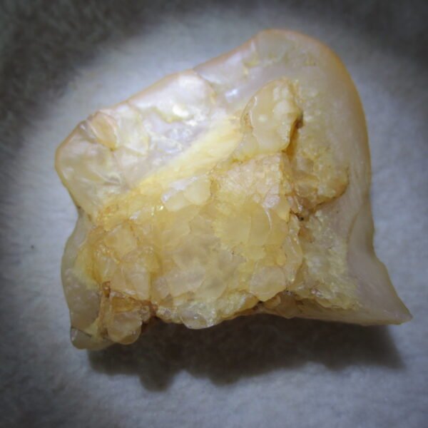 natural desert gobi agate crystal and stone symbiotic minerals, home decor, energy stones (s29)