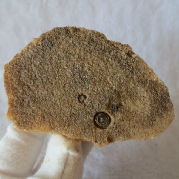 natural desert gobi agate crystal and stone symbiotic minerals, home decor, energy stones (s30）