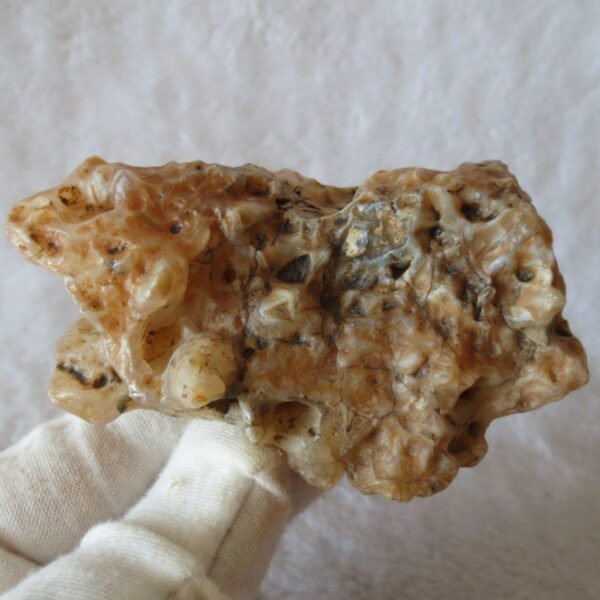 natural desert gobi agate crystal and stone symbiotic minerals, home decor, energy stones (s32) (copy)