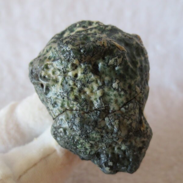 natural green grass flower gobi moss agate , desert gobi stone mineral specimen (t01)