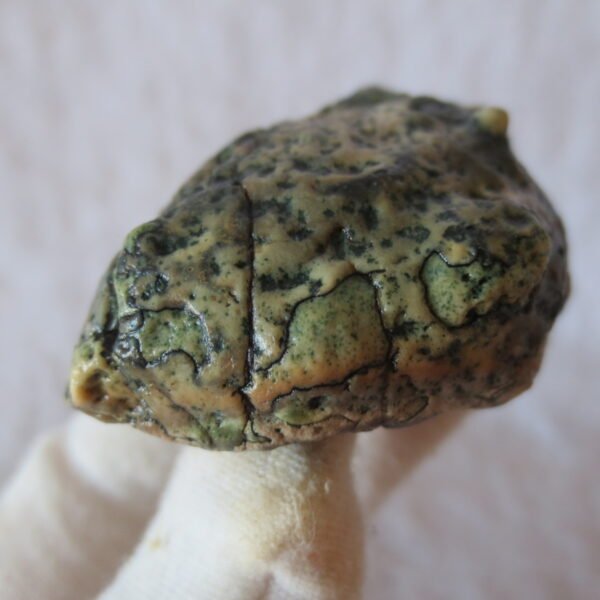 natural green grass flower gobi moss agate , desert gobi stone mineral specimen (t02)