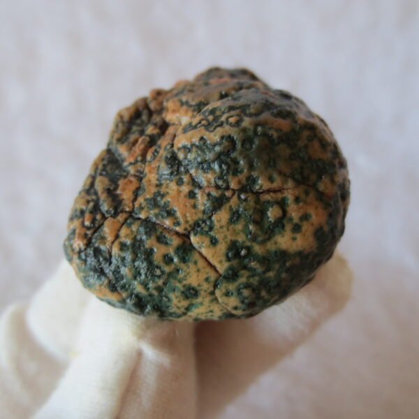 natural green grass flower gobi moss agate , desert gobi stone mineral specimen (t04)