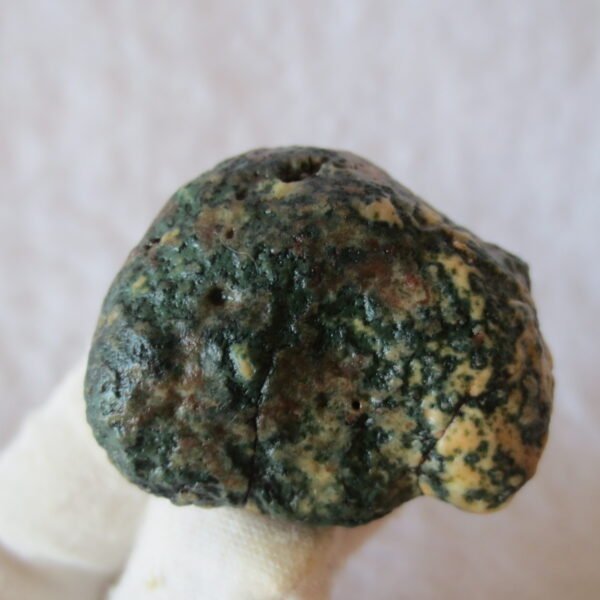 natural green grass flower gobi moss agate , desert gobi stone mineral specimen (t04)