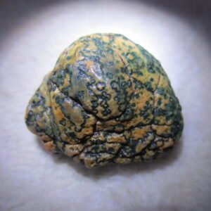 natural green grass flower gobi moss agate , desert gobi stone mineral specimen (t04)