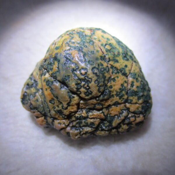 natural green grass flower gobi moss agate , desert gobi stone mineral specimen (t04)