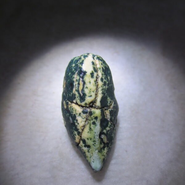 natural green grass flower gobi moss agate , desert gobi stone mineral specimen (t09） (copy)