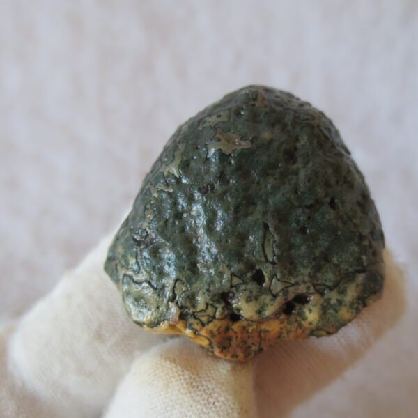 natural green grass flower gobi moss agate , desert gobi stone mineral specimen (t10） (copy)