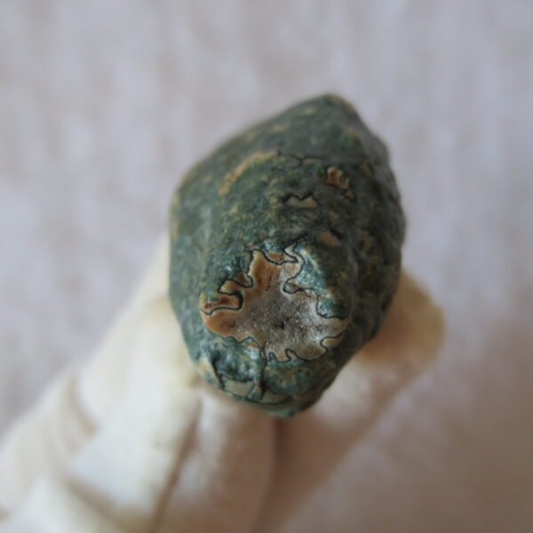 natural green grass flower gobi moss agate , desert gobi stone mineral specimen (t12）