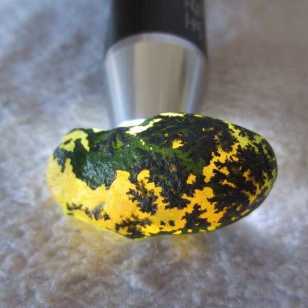 natural green grass flower gobi moss agate , desert gobi stone mineral specimen (t16）