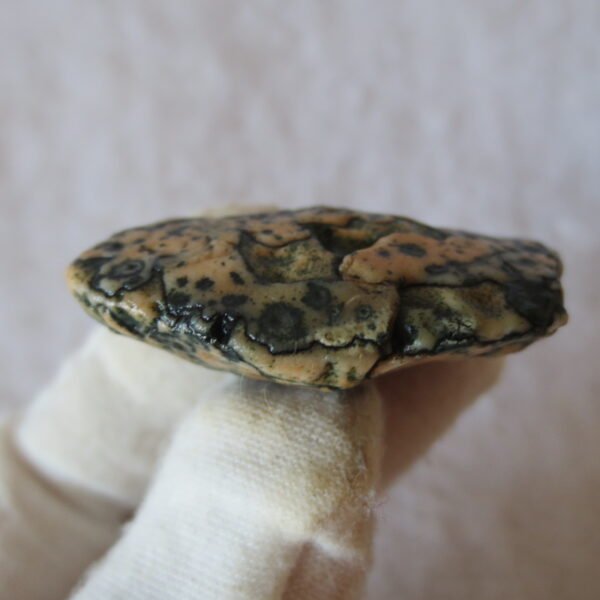 natural green grass flower gobi moss agate , desert gobi stone mineral specimen (t21） (copy)