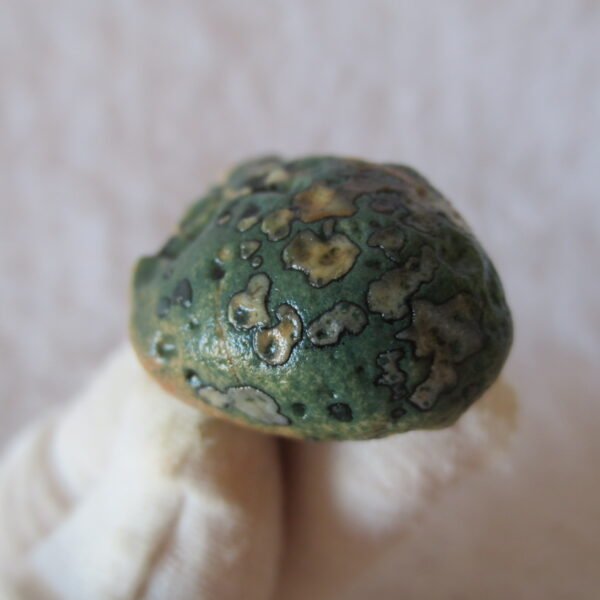 natural green grass flower gobi moss agate , desert gobi stone mineral specimen (t24）
