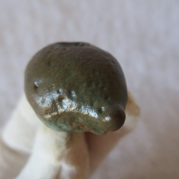natural green grass flower gobi moss agate , desert gobi stone mineral specimen (t27）