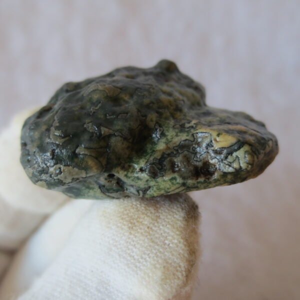 natural green grass flower gobi moss agate , desert gobi stone mineral specimen (t30）