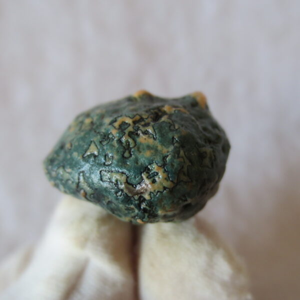 natural green grass flower gobi moss agate , desert gobi stone mineral specimen (t37)
