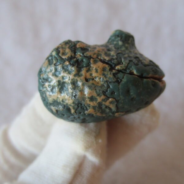 natural green grass flower gobi moss agate , desert gobi stone mineral specimen (t39）